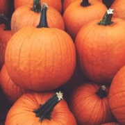 real orange mini pumpkins - South Metro Custom Remodeling custom basement remodel